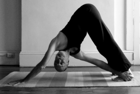 Steven Valloney, yogi